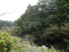 DSCN2353