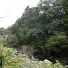DSCN2353
