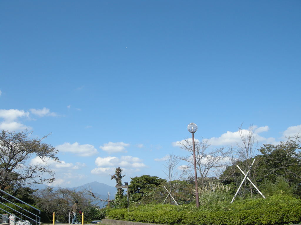 DSCN2813