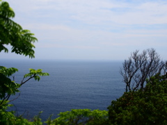 P5310813