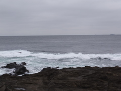 DSCF5364