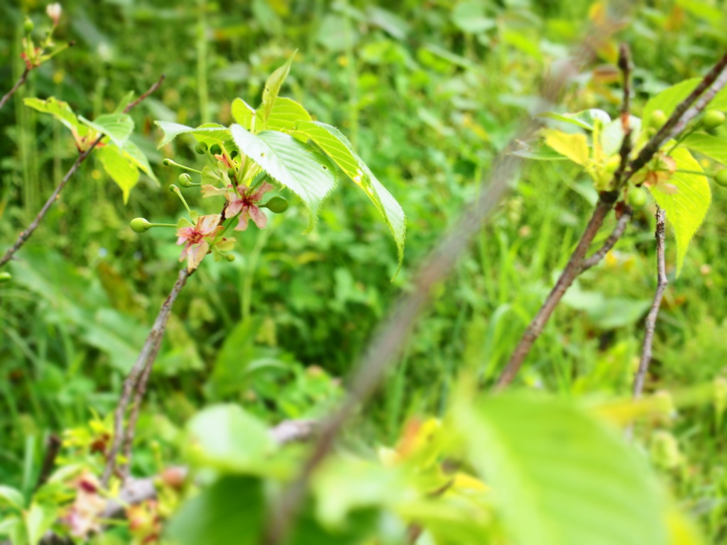 P5040784