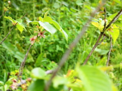 P5040784