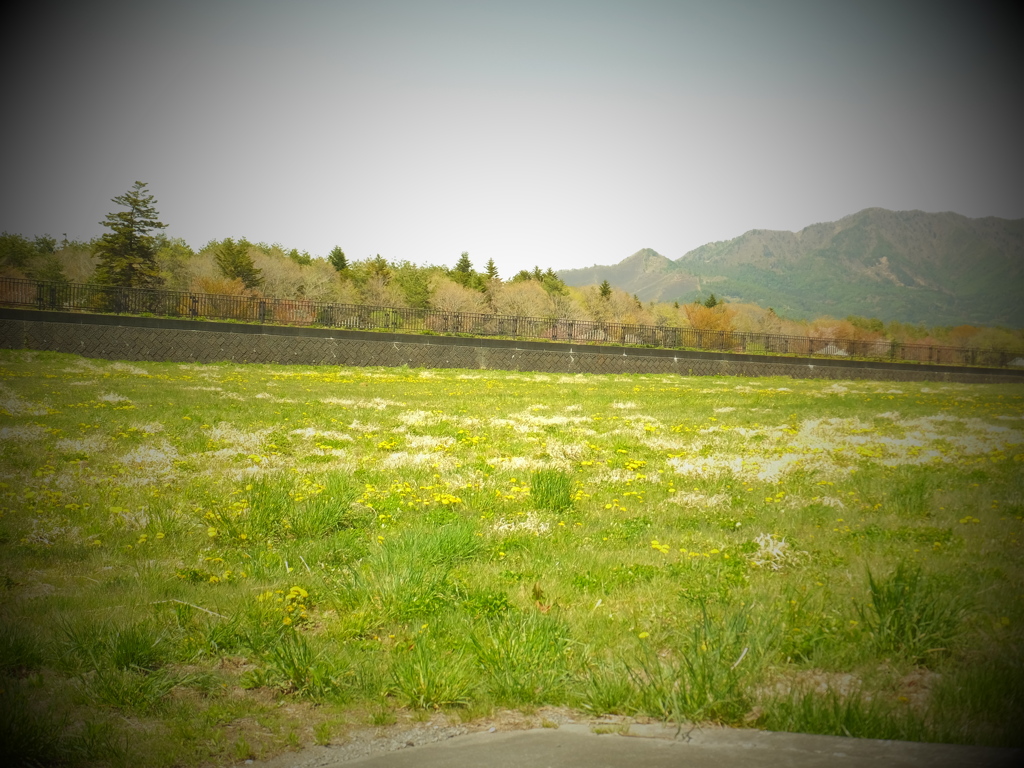 DSCF0088