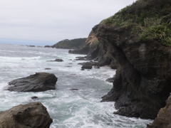 DSCF5365