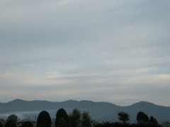 DSCN2026
