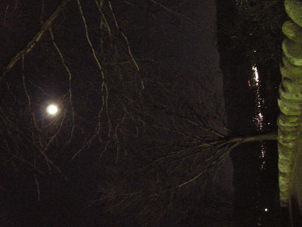 DSCN2461