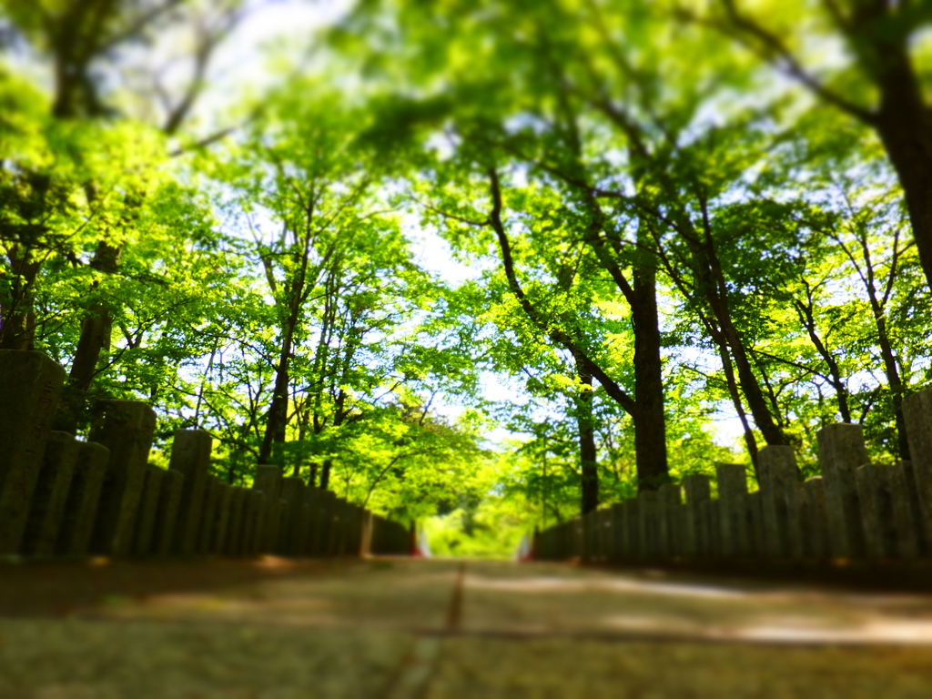 DSCF0241