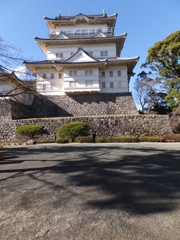 DSCF5138