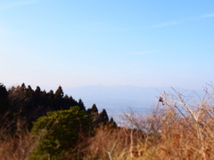 P2110544