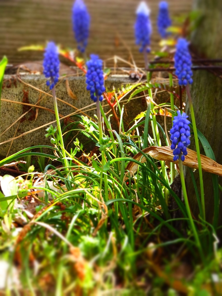 DSCF0022