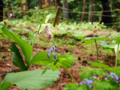 P5040774