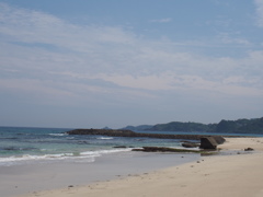P5310830