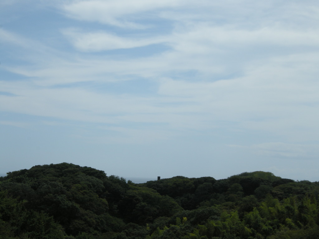 DSCN2295