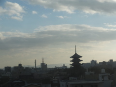 DSCF5137