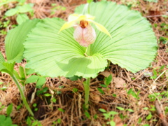 P5040717