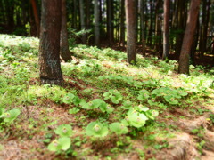 P5040728
