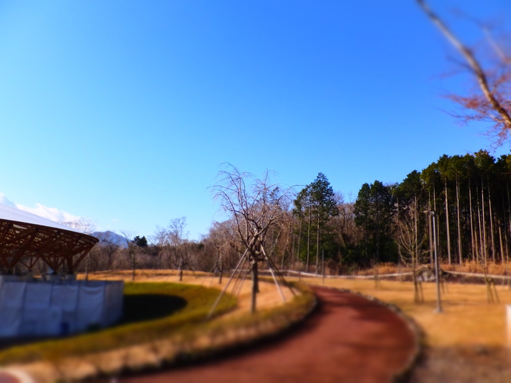 DSCF1088