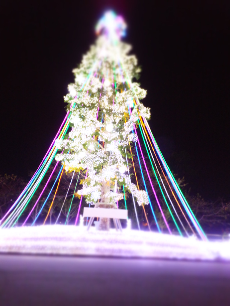 DSCF5019
