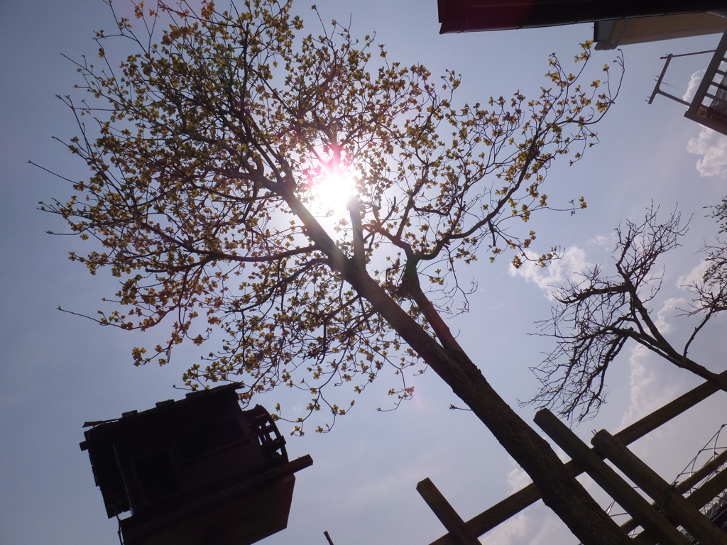 DSCF0036