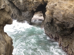 DSCF5369