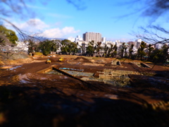 DSCF5141