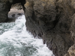 DSCF5371