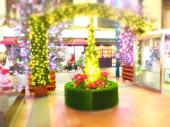 DSCF5065