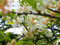 P5040786