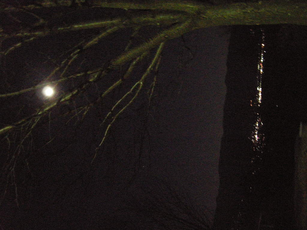 DSCN2462