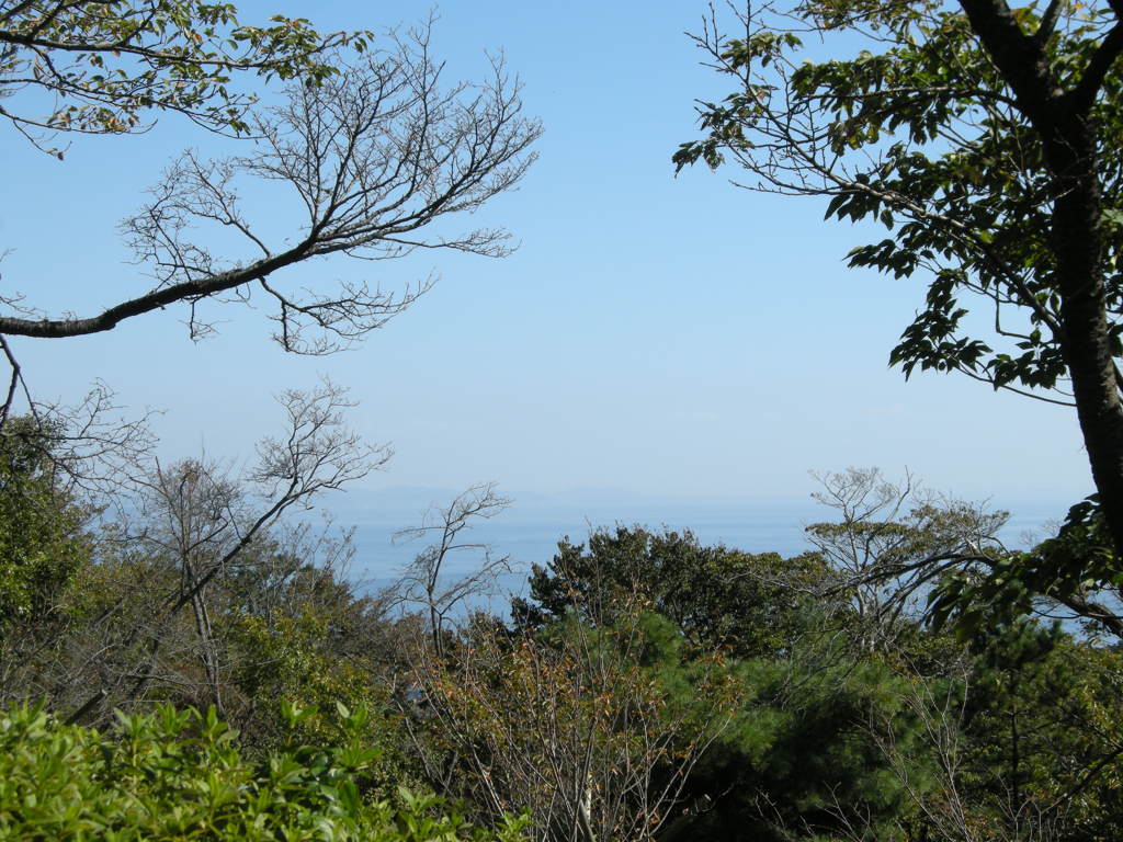 DSCN2811