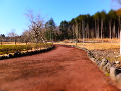 DSCF1089