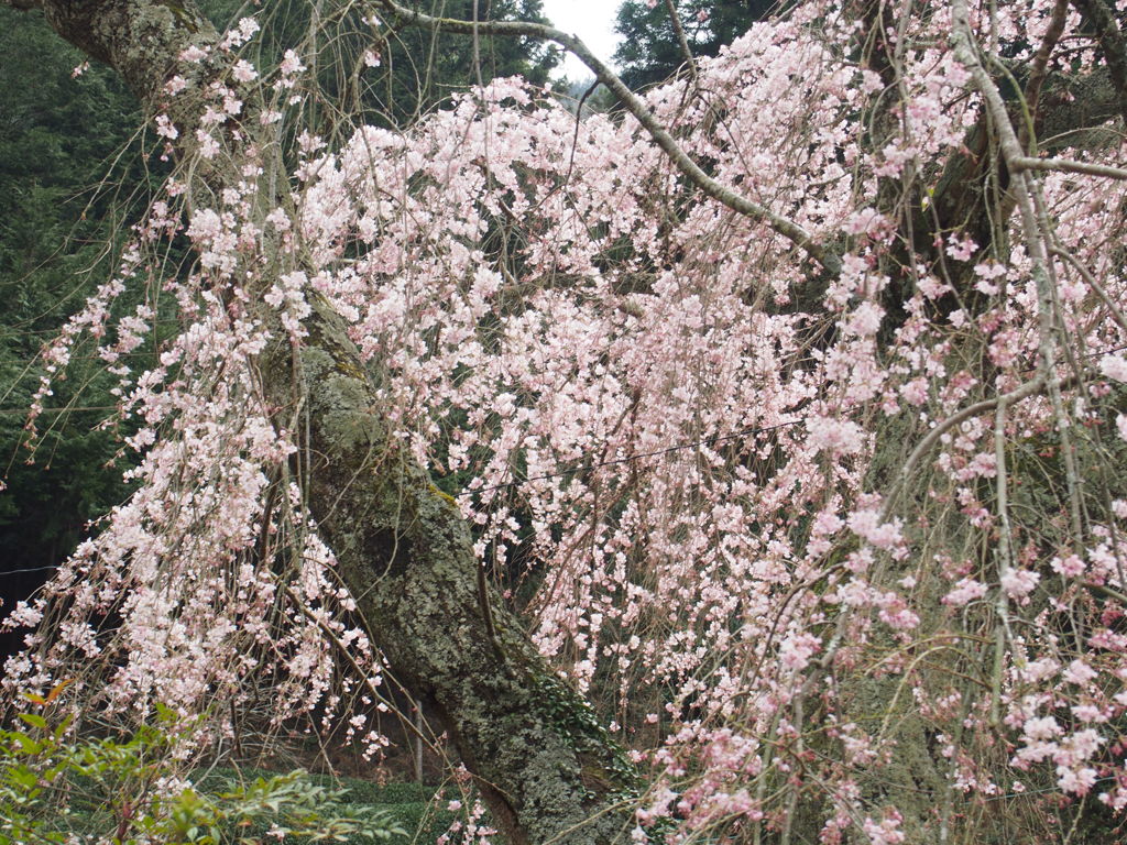 P3290616