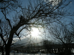 DSCN2529
