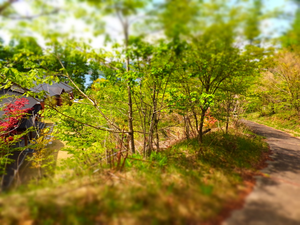DSCF0195
