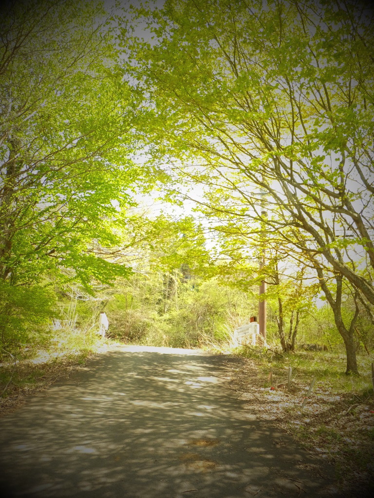 DSCF0084