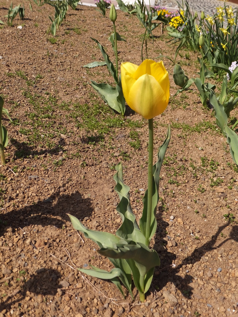 DSCF0160