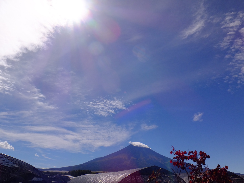 DSCF2404