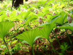 P5040737