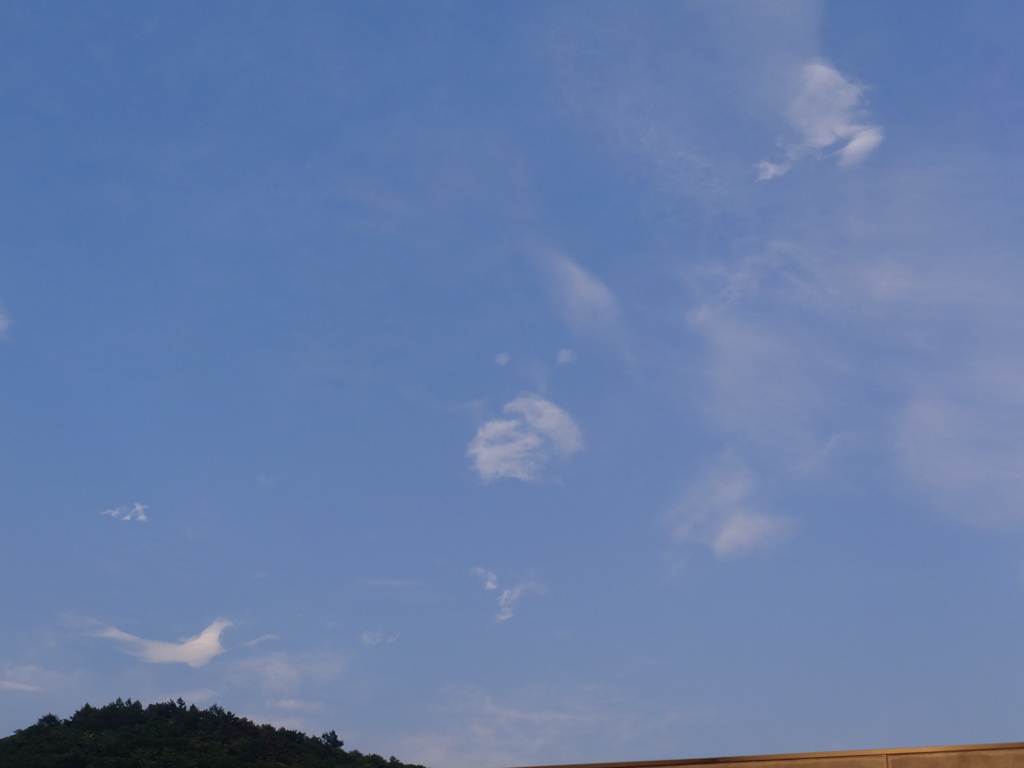 DSCF0309