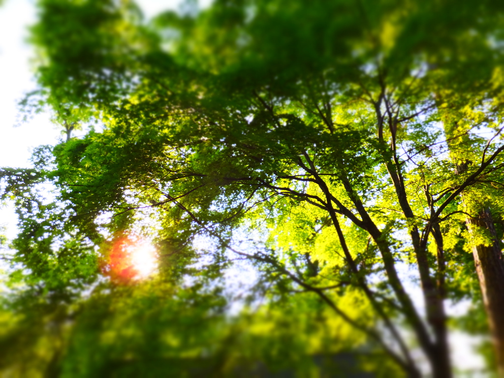 DSCF0303