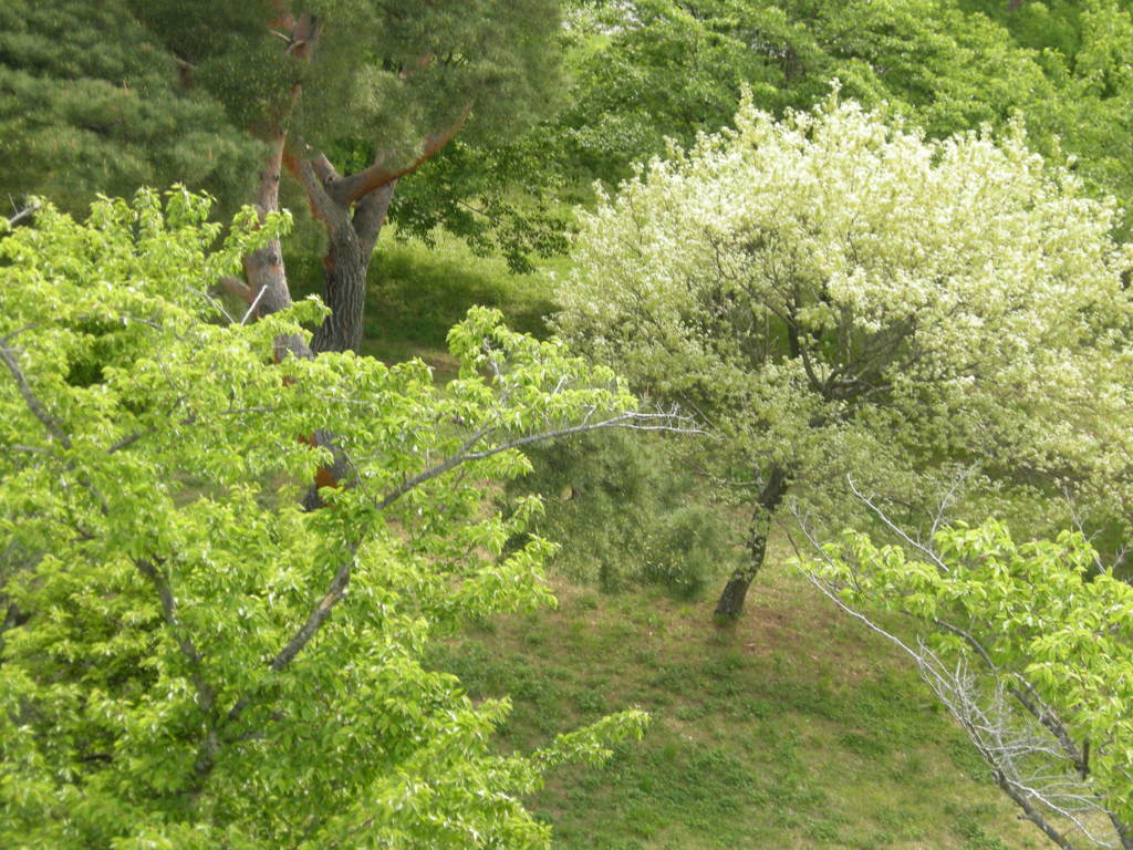 DSCN0903