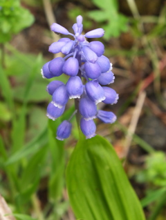 DSCF5214