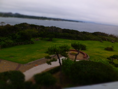 DSCF5375
