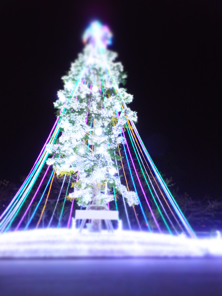 DSCF5018