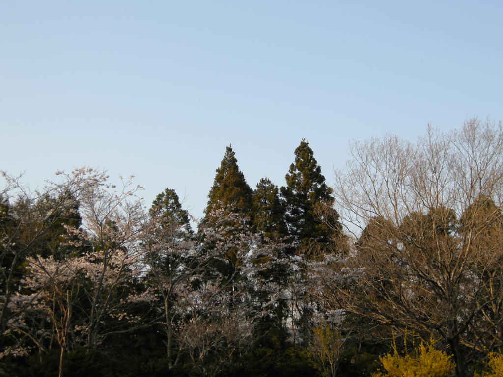 DSCN2566