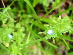 P5040780