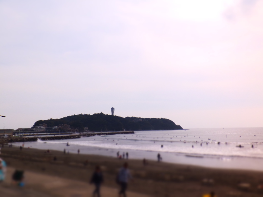 DSCF2440