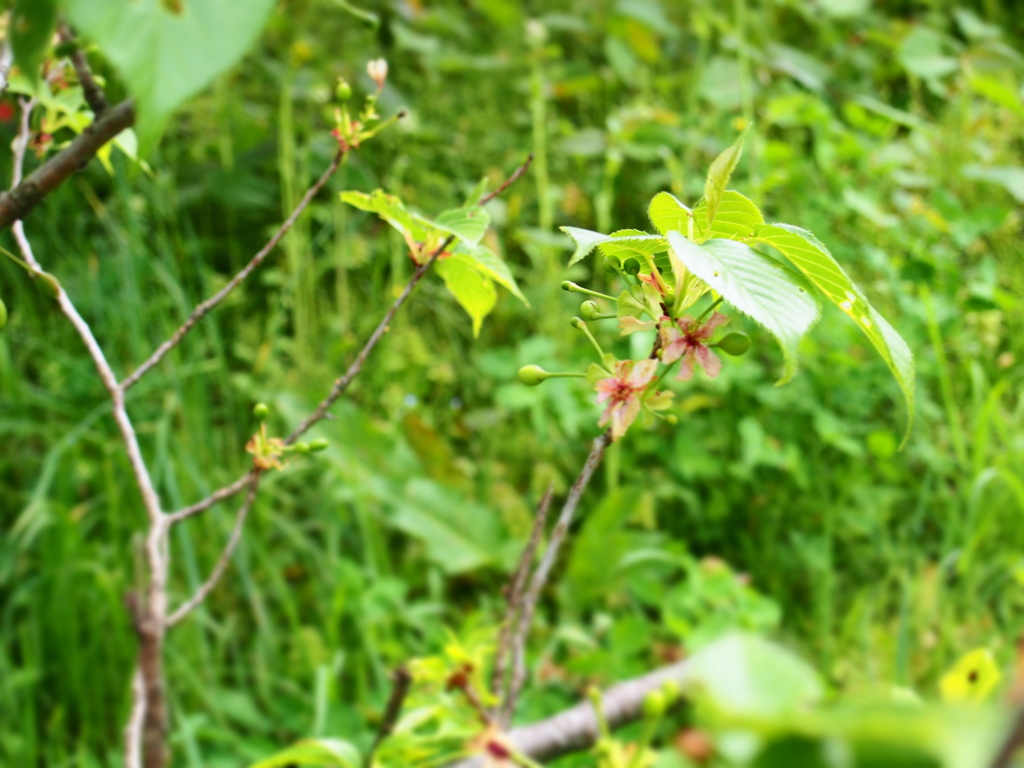 P5040783
