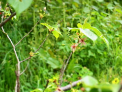 P5040783
